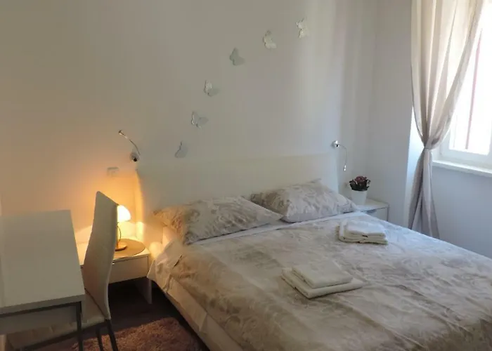 & Ivan Шибеник